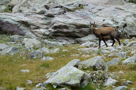 Mercantour, P1280141