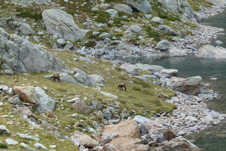 Mercantour, P1280143