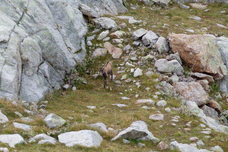 Mercantour, P1280147