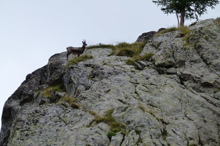 Mercantour, P1280159