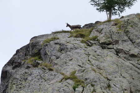 Mercantour, P1280160