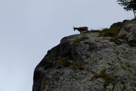 Mercantour, P1280162