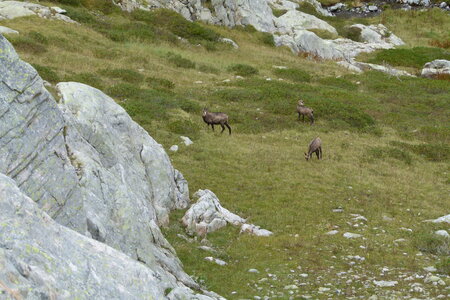 Mercantour, P1280170