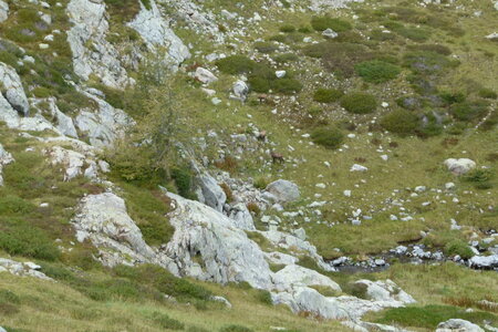 Mercantour, P1280171