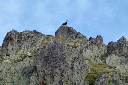 Mercantour, P1280174