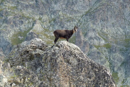 Mercantour, P1280176