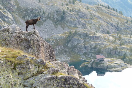 Mercantour, P1280178