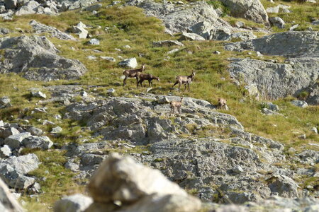 Mercantour, P1280179