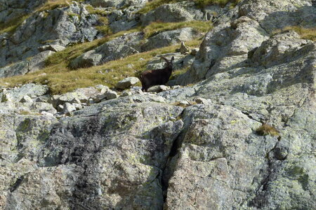 Mercantour, P1280180