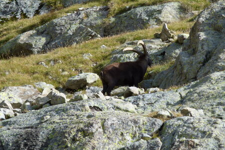 Mercantour, P1280181