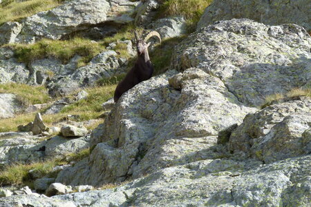 Mercantour, P1280182