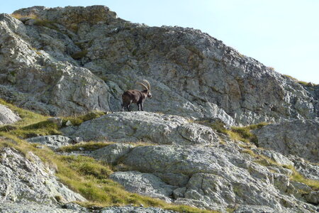 Mercantour, P1280183