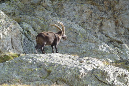 Mercantour, P1280185