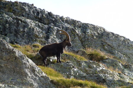 Mercantour, P1280186