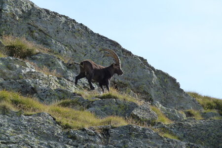 Mercantour, P1280187