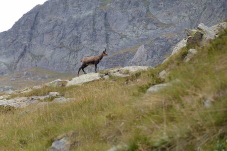 Mercantour, P1280200