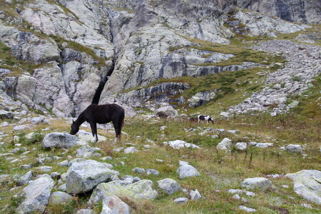 Mercantour, P1280204