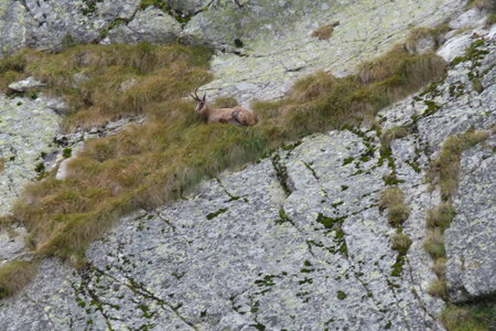 Mercantour, P1280212