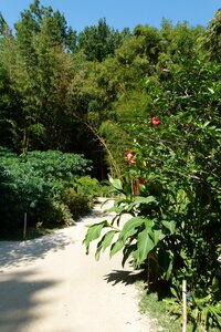 Ardeche 2020, P1280281