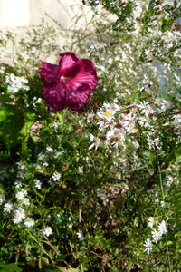 Ardeche 2020, P1280295