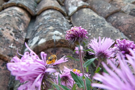 Ardeche 2020, P1280305