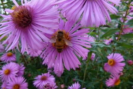 Ardeche 2020, P1280320
