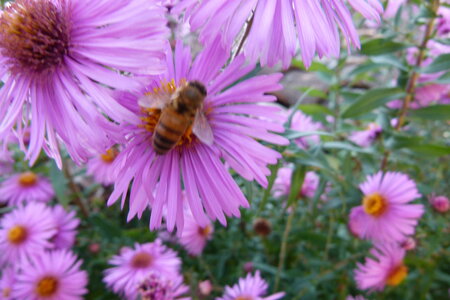 Ardeche 2020, P1280321