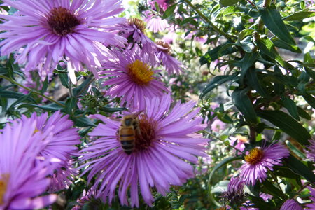 Ardeche 2020, P1280327