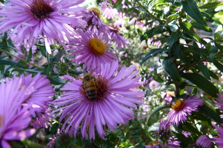 Ardeche 2020, P1280328