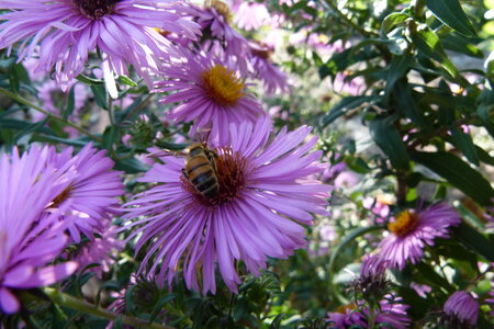 Ardeche 2020, P1280329