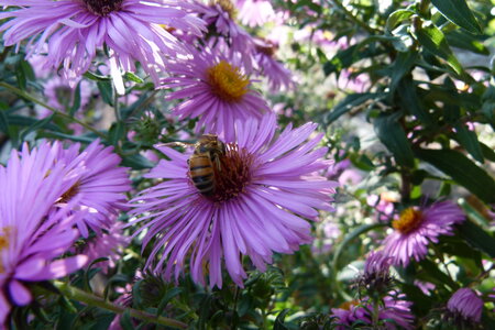 Ardeche 2020, P1280331