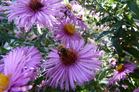 Ardeche 2020, P1280334