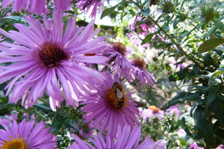 Ardeche 2020, P1280336