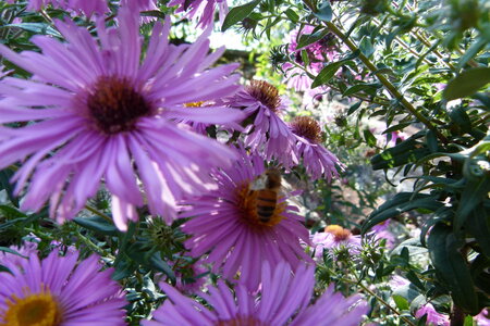 Ardeche 2020, P1280338