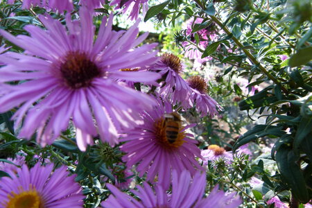 Ardeche 2020, P1280339