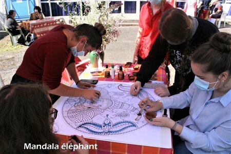 Rythmes et Couleurs de l'Inde 2020, Rythmes et Couleurs de l’Inde 4 Elephant  0 