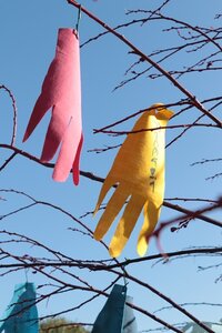 Rythmes et Couleurs de l'Inde 2020, Rythmes et Couleurs de l’Inde 8 arbre a voeux  2 