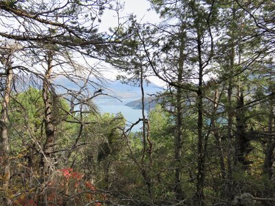 La Bréole, IMG_6998