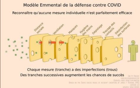 Illustrations Covid-19, ModeleEmmentalDeLaDefenseContreLeCovid