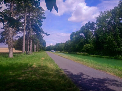balade Vélo 2020 le long des côtes, après Condé sur Marne