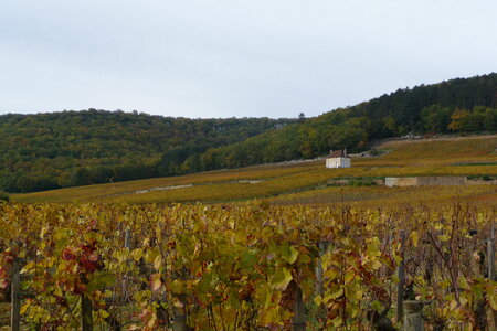 Automne en Côte d'Or, Maison sur la colline de face