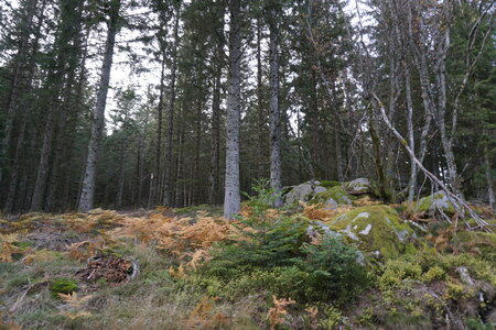 Les photos de DOUBY, DSC00040