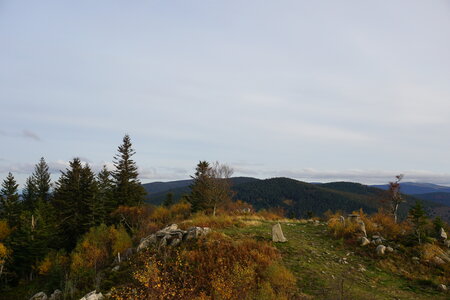 Les photos de DOUBY, DSC00075