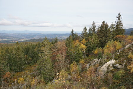 Les photos de DOUBY, DSC00078