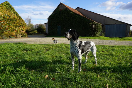Les photos de DOUBY, DSC00130