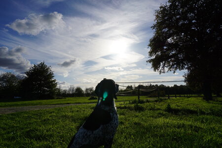 Les photos de DOUBY, DSC00133