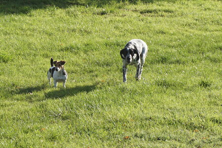 Les photos de DOUBY, DSC00135