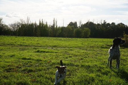 Les photos de DOUBY, DSC00137