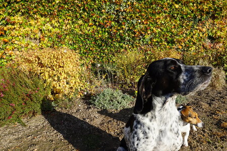 Les photos de DOUBY, DSC00145