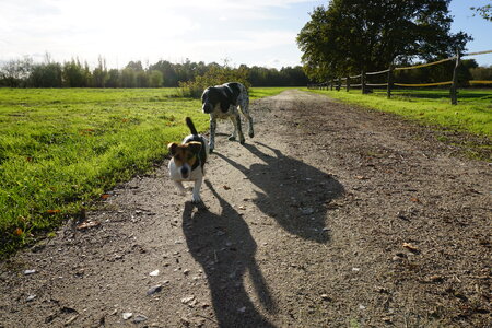 Les photos de DOUBY, DSC00147